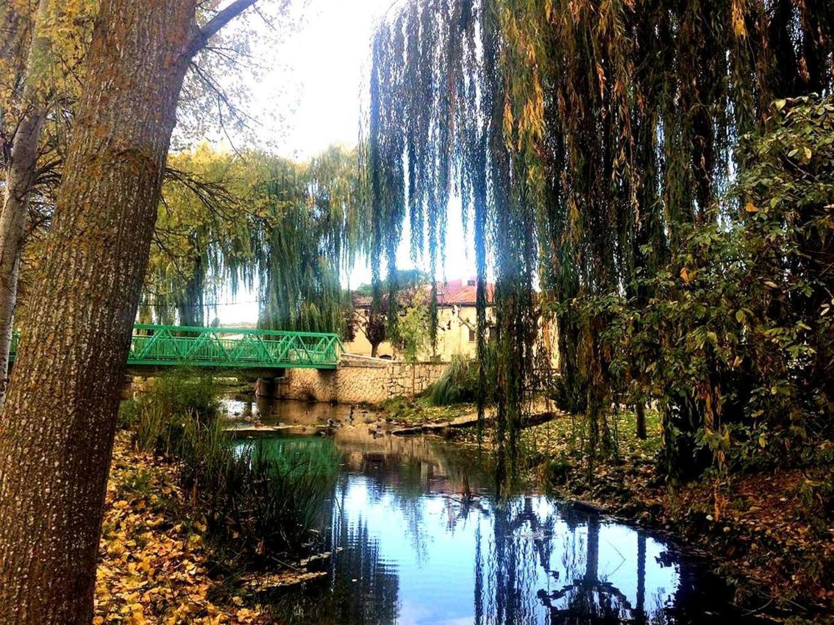 Apartamento Ribera Del Duero Reserva Tubilla del Lago 外观 照片