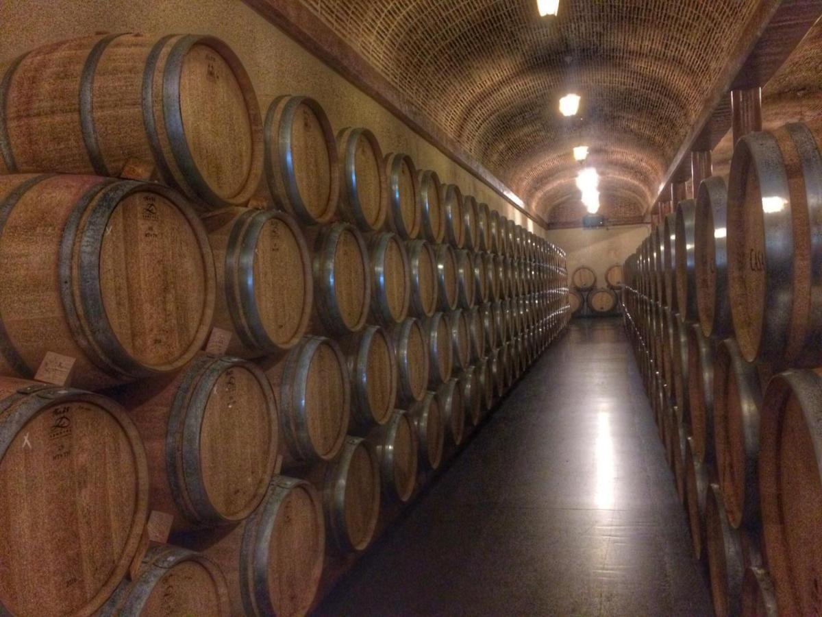 Apartamento Ribera Del Duero Reserva Tubilla del Lago 外观 照片